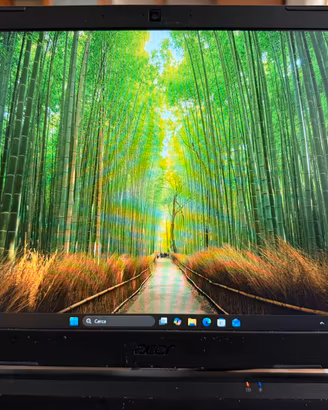 Acer Nitro 5 RTX 3060 16GB RAM