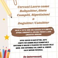 Babysitter,Aiuto compiti,Ripetizioni,Cat/Dogsitter