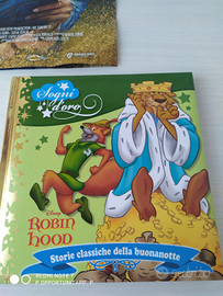 Robin Hood libro