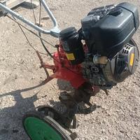 motozappa diesel Lombardini 