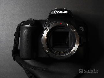 Canon 250D   Scatti  11.000