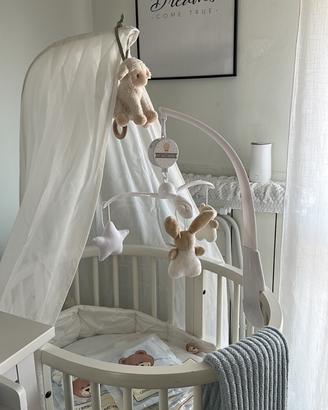 Culla stokke evolutiva