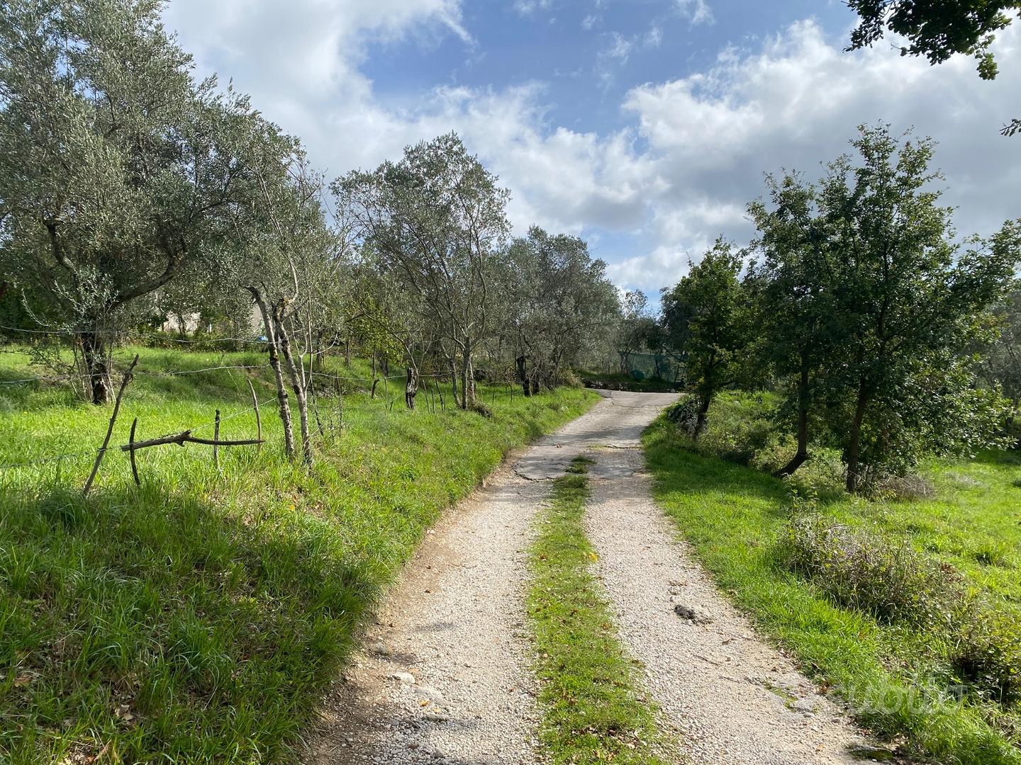 Uliveto - Vista 4
