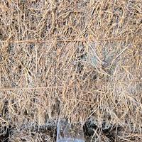 ballette di erba medica 3°/4° taglio