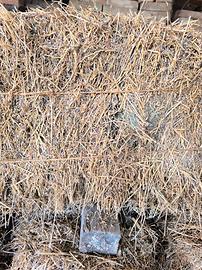 ballette di erba medica 3°/4° taglio