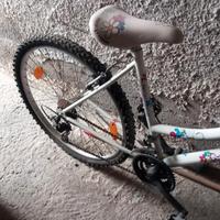 bicicletta modello magnum