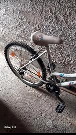 bicicletta modello magnum