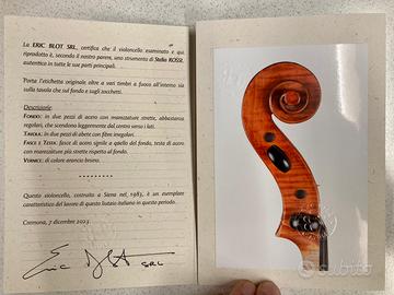 Violoncello S.Rossi, Siena 1983, certificato BLOT