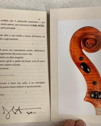 Violoncello S.Rossi, Siena 1983, certificato BLOT