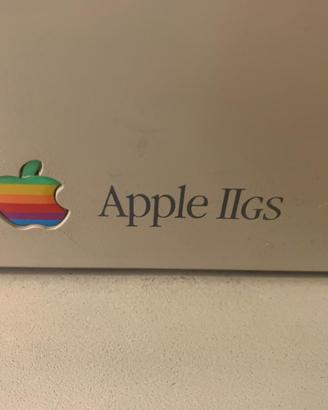 Apple II GS Completo con stampante Apple