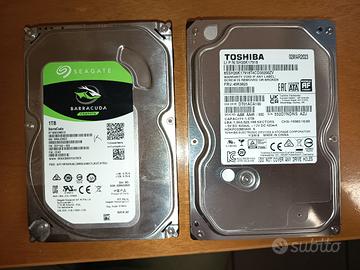 coppia di hard disk sata da 1TB