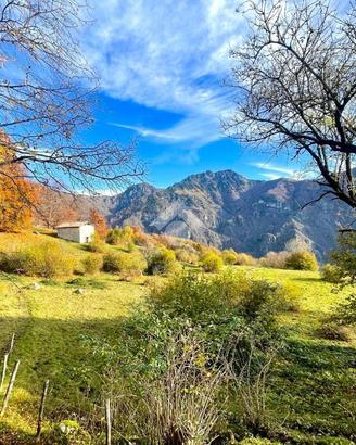 TERRENO A LAVENONE