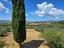 Immagine 22