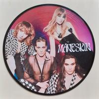Vinile 33 giri da parete omaggio ai Maneskin 