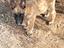Immagine 3