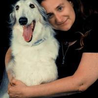 Promoter, barista, caricamenti nella GDO, libraia