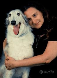 Promoter, barista, caricamenti nella GDO, libraia