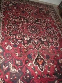 Tappeto persiano Bakhtiar