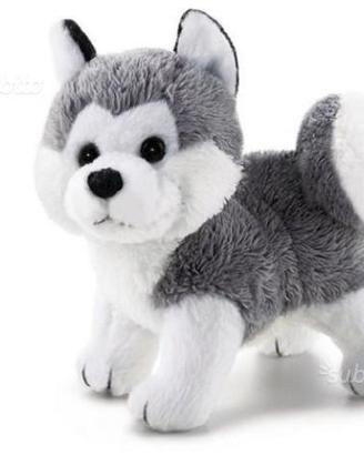 Husky Trudi 9 cm