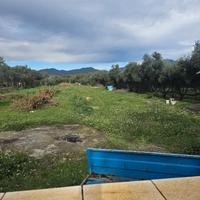 Terreno agricolo