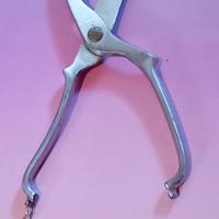 Tranciapollo acciaio Rostfrei