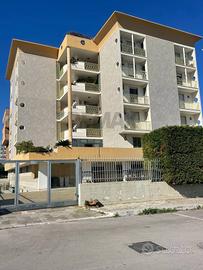 Appartamento - Triggiano