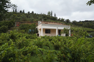 Casa in capagna 8km da sassari agro di Tissi