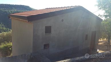 Casa di campagna e terreno a San Marco d'Alunzio