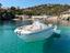 Immagine 5