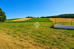 TER. AGRICOLO A CASTELFIDARDO