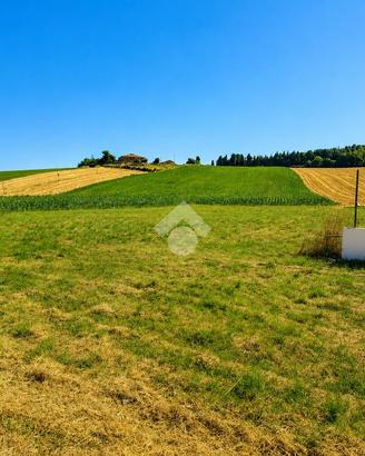 TER. AGRICOLO A CASTELFIDARDO