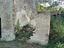 Immagine 9