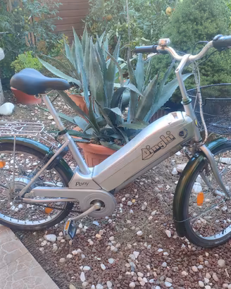 bicicletta elettrica 