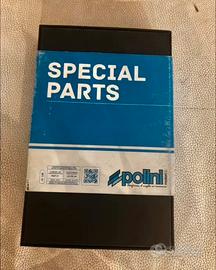 Centralina Polini euro 5