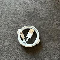 CAVETTO APPLE ORIGINALE