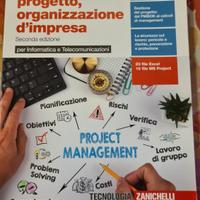 Gestione progetto, organizzazione d'impresa