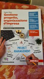 Gestione progetto, organizzazione d'impresa