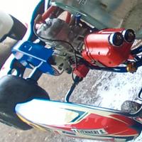 motore kart 125 tag