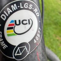 Bici cipollini