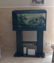acquario 100 litri