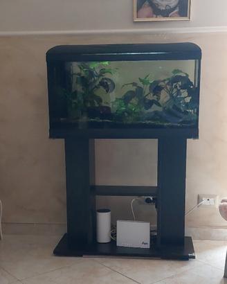 acquario 100 litri