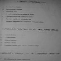 Testo riassuntivo Diritto Costituzionale comparato