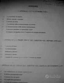 Testo riassuntivo Diritto Costituzionale comparato