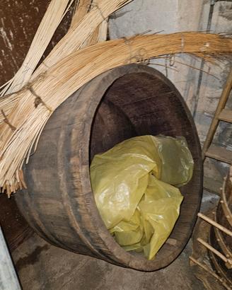 Attrezzatura per vendemmia.