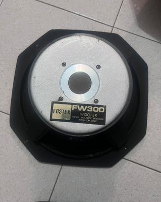 Altoparlanti woofer FOSTEX WF300