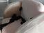 Immagine 6