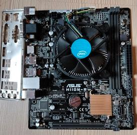 Scheda madre Asus H110M-R + Pentium G4560