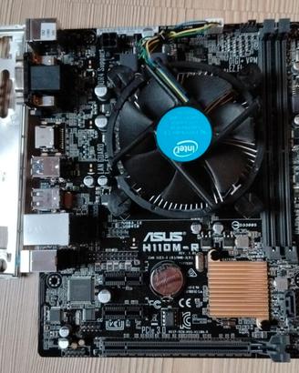 Scheda madre Asus H110M-R + Pentium G4560