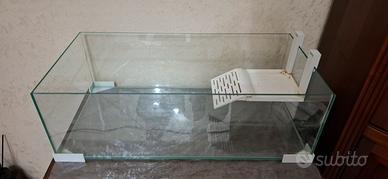 Acquario/Terrario per tartarughe