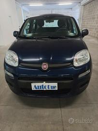 Fiat Panda 1.2 Pop modello Trussardi